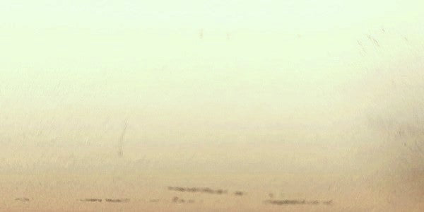 Junquillos Laminados