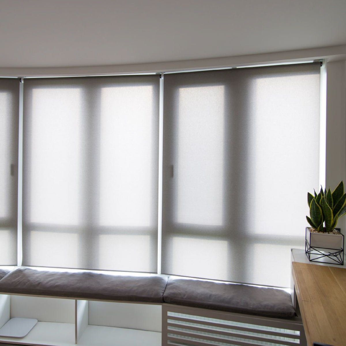 Cortina Roller Translucent - A medida