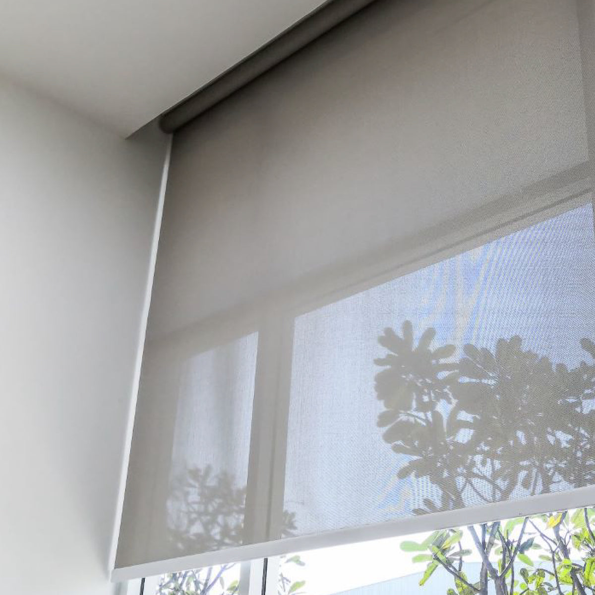 Cortina Roller Sunscreen 3% Prefabricadas - Plata