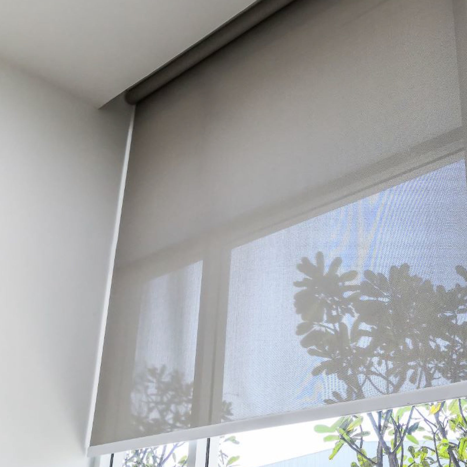 Cortina Roller Sunscreen 3% Prefabricadas - Plata