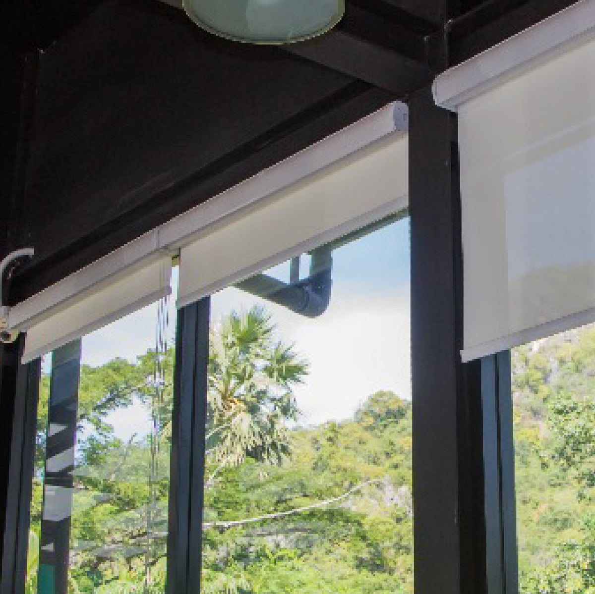 Cortina Roller Sunscreen - Color a elección